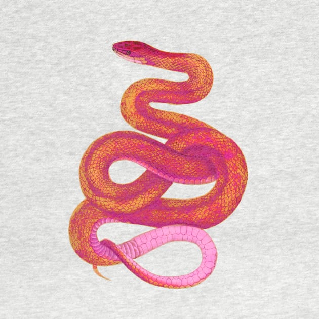 serpent,cobra,reptile,viper,venom,lizard,rattlesnake,king cobra,dragon,hydra,poison,venomous,plumber's snake,pythonidae,pythons,auger,python,squamata,serpentine,worm,big,ophidian,rattlesnakes,medusa,snakebite by vabontchi